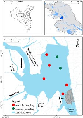 Hydrometeorological conditions drive long-term changes in the spatial distribution of Potamogeton crispus in a subtropical lake
